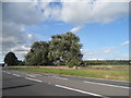 The A31, Marsh Bridge