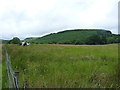 Horses in a field above the Afon Cownwy