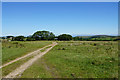 Track towards Cheriton