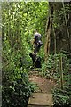 Footpath near Bower Hill