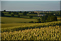 Mid Devon : Countryside Scenery