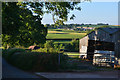 Mid Devon : Country Lane