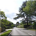 Bagshot Road passing Gordon