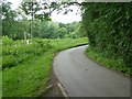 Country road near Aston Bank