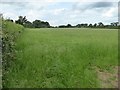 SO6370 : Farmland near Bickley by Philip Halling