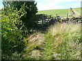 Gate on Sowerby Bridge FP35, Luddendenfoot