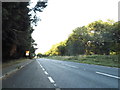 The A31, Foulford