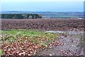 Ploughed field at Innercraigie