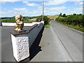 Lion sculpture along Feddan Road