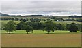 Perthshire farmland at Campsie