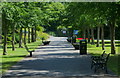 Path through Knighton Park