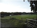 Field at Brick Hall Farm