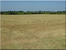 SP1101 : A silaged field by Philip Halling