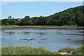 Yealm estuary: towards Puslinch