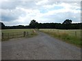 Rapley Farm - Track Leading South