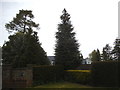 House and garden on Beech Avenue, Effingham