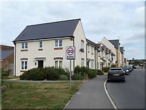 ST9263 : New houses on Cranesbill Road by Michael Dibb