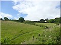 SC4589 : Farmland near Corrany by Graham Hogg