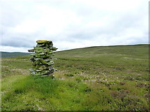 SH9419 : The Blaen Cownwy cairn by Richard Law