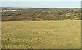 Countryside southeast of Camelford