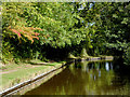 Llangollen Canal east of Preesgweene, Shropshire