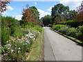 Flowerbeds in Durants Park