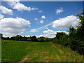 Grassy field and summer sky