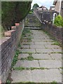 Footpath and Steps within Housing Estate