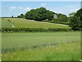 SP1607 : Farmland by Dean Farm by Philip Halling