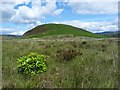 NS0072 : Muclich Hill - Isle of Bute by Raibeart MacAoidh