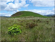 NS0072 : Muclich Hill - Isle of Bute by Raibeart MacAoidh
