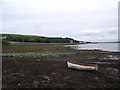 Foreshore at St Margaret