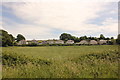 View towards Bangor Road