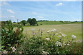 Farmland near Great Shefford