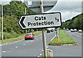 "Cats Protection" sign, Dundonald (July 2017)