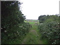 Track (footpath) off the B3280