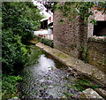 Downstream along the Frome, Nibley, South Gloucestershire