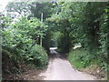 Trenhayle Lane towards St Erth