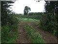 Field entrance and footpath off Tredrea Lane