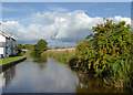 Llangollen Canal near Tetchill in Shropshire