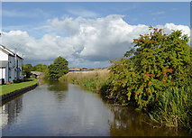 SJ3832 : Llangollen Canal near Tetchill in Shropshire by Roger  D Kidd