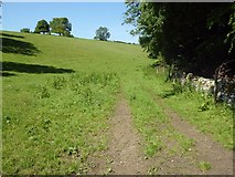 SP1107 : A field near Bibury by Philip Halling