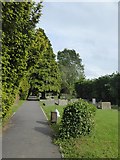 ST8763 : Village cemetery, Broughton Gifford by David Smith