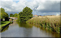 Llangollen Canal north-west of Tetchill, Shropshire