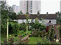 Gardens and houses in Hollington Old Lane, Hastings