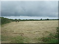 Cut grass field, Sheffield