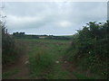 Field entrance near Tregadgwith