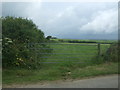 Field entrance and footpath near St Buryan