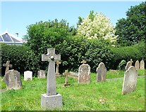 TQ2116 : Cemetery, Henfield by Simon Carey
