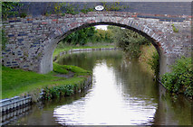 SJ3833 : White Mill Bridge north-west of Tetchill, Shropshire by Roger  D Kidd